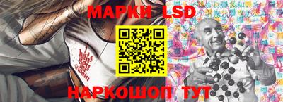 прущие грибы Краснодар