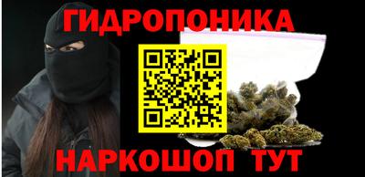 сатива Мирный