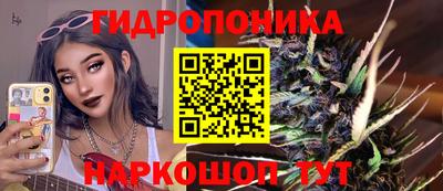 шишки Михайловка