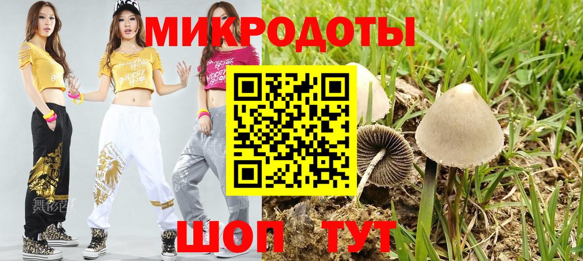 Псилоцибиновые грибы GOLDEN TEACHER  Вход с VPN  где найти наркотики  Кудрово 